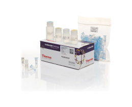 Thermo Scientific