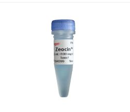 Zeocin博来霉素